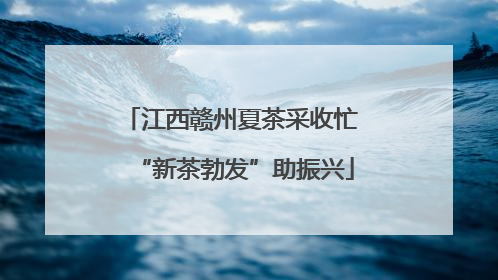江西赣州夏茶采收忙 “新茶勃发”助振兴
