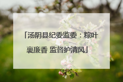 汤阴县纪委监委：粽叶裹廉香 监督护清风