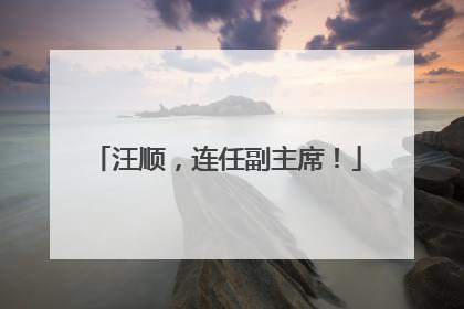 汪顺，连任副主席！