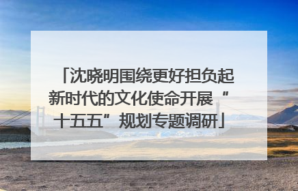 沈晓明围绕更好担负起新时代的文化使命开展“十五五”规划专题调研