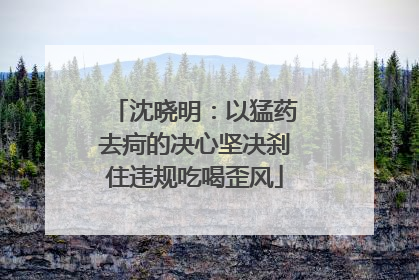 沈晓明：以猛药去疴的决心坚决刹住违规吃喝歪风
