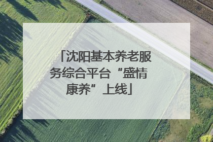 沈阳基本养老服务综合平台“盛情康养”上线