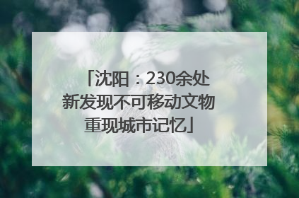沈阳：230余处新发现不可移动文物重现城市记忆