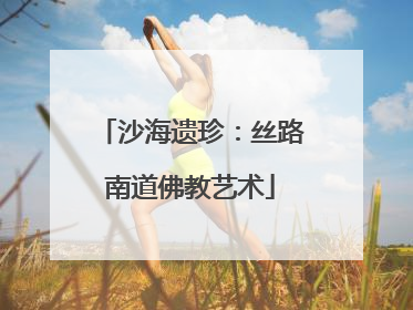 沙海遗珍：丝路南道佛教艺术
