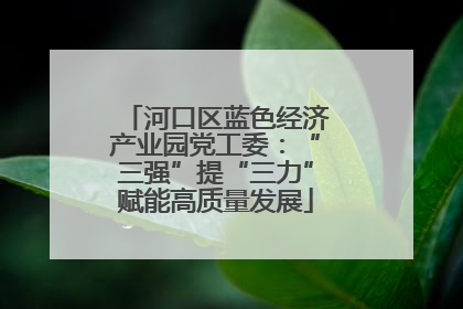 河口区蓝色经济产业园党工委：“三强”提“三力”赋能高质量发展