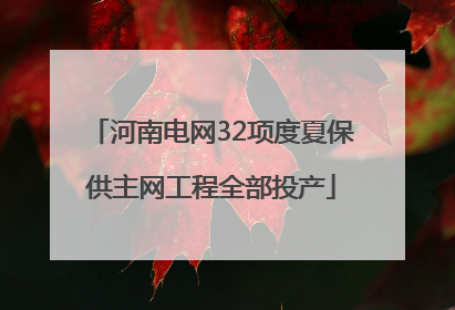 河南电网32项度夏保供主网工程全部投产