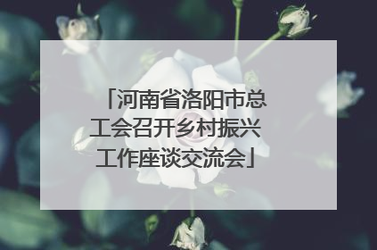 河南省洛阳市总工会召开乡村振兴工作座谈交流会