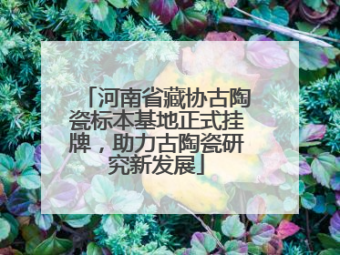 河南省藏协古陶瓷标本基地正式挂牌，助力古陶瓷研究新发展
