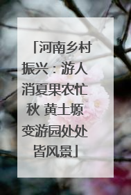 河南乡村振兴：游人消夏果农忙秋 黄土塬变游园处处皆风景