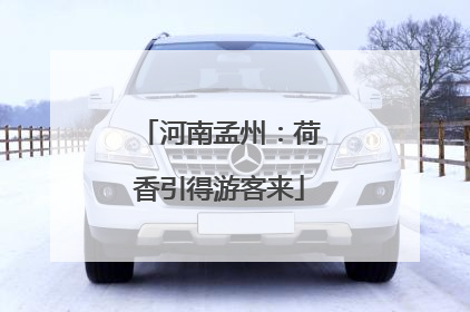 河南孟州：荷香引得游客来