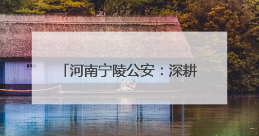 河南宁陵公安：深耕“派出所主防” 推进“警网融合”发展