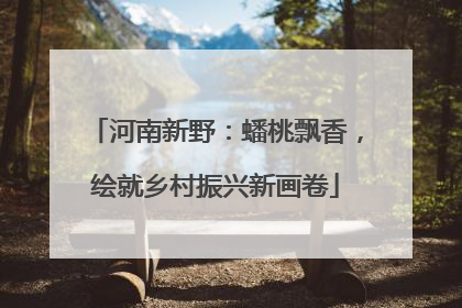 河南新野：蟠桃飘香，绘就乡村振兴新画卷