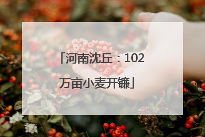 河南沈丘：102 万亩小麦开镰