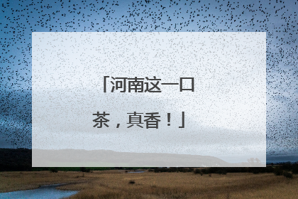 河南这一口茶，真香！