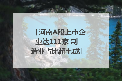 河南A股上市企业达111家 制造业占比超七成