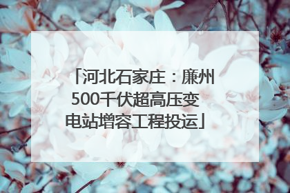 河北石家庄：廉州500千伏超高压变电站增容工程投运