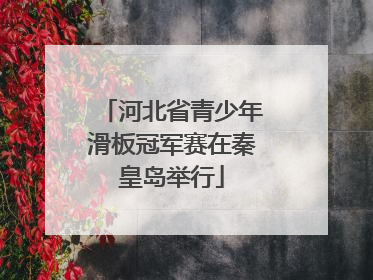 河北省青少年滑板冠军赛在秦皇岛举行