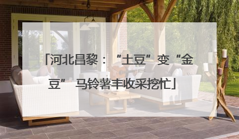 河北昌黎：“土豆”变“金豆” 马铃薯丰收采挖忙