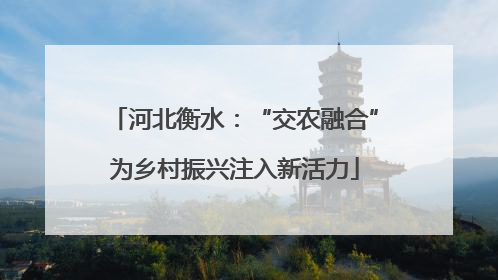 河北衡水：“交农融合”为乡村振兴注入新活力