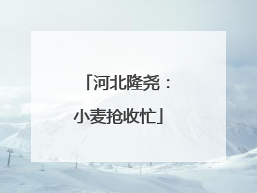 河北隆尧：小麦抢收忙