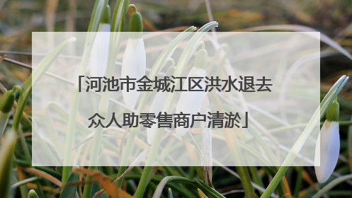 河池市金城江区洪水退去 众人助零售商户清淤