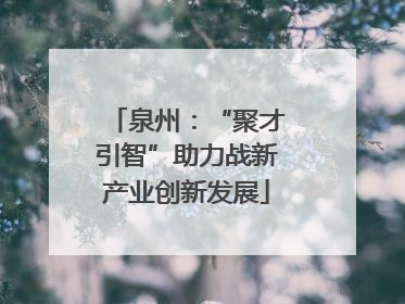 泉州：“聚才引智”助力战新产业创新发展
