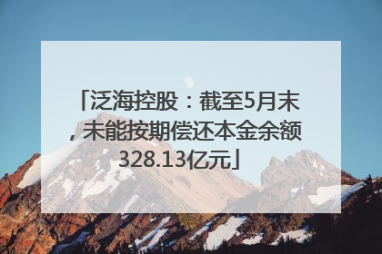 泛海控股：截至5月末，未能按期偿还本金余额328.13亿元