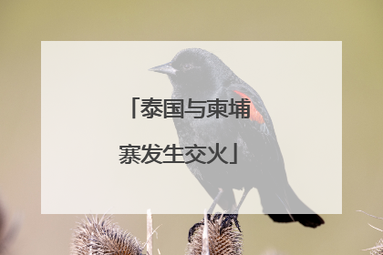泰国与柬埔寨发生交火