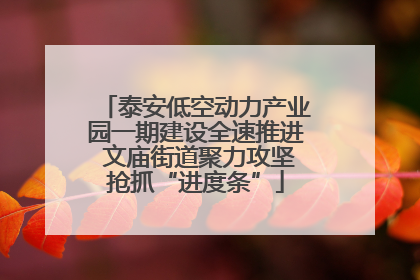 泰安低空动力产业园一期建设全速推进 文庙街道聚力攻坚抢抓“进度条”