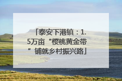 泰安下港镇：1.5万亩“樱桃黄金带”铺就乡村振兴路