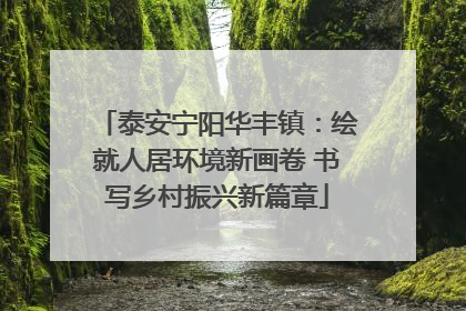 泰安宁阳华丰镇：绘就人居环境新画卷 书写乡村振兴新篇章