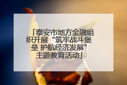 泰安市地方金融组织开展“筑牢战斗堡垒 护航经济发展”主题教育活动