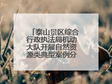 泰山景区综合行政执法局机动大队开展自然资源类典型案例分析交流活动