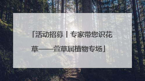 活动招募丨专家带您识花草——萱草属植物专场