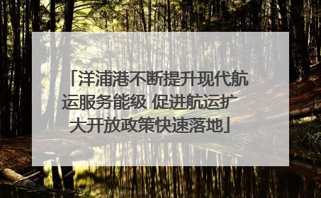 洋浦港不断提升现代航运服务能级 促进航运扩大开放政策快速落地