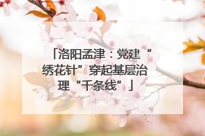 洛阳孟津：党建“绣花针”穿起基层治理“千条线”