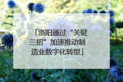 洛阳通过“关键三招”加速推动制造业数字化转型