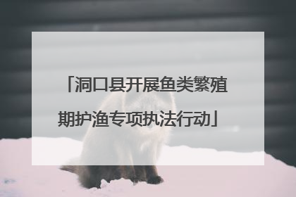 洞口县开展鱼类繁殖期护渔专项执法行动