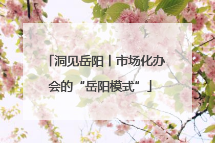洞见岳阳丨市场化办会的“岳阳模式”