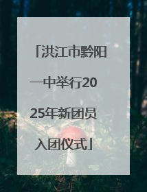 洪江市黔阳一中举行2025年新团员入团仪式