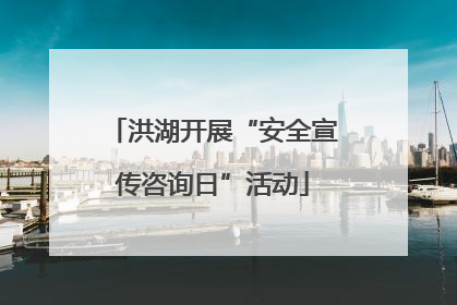 洪湖开展“安全宣传咨询日”活动