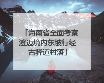 海南省全面考察澄迈境内东坡行经古驿道村落
