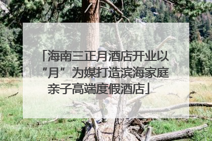 海南三正月酒店开业以“月”为媒打造滨海家庭亲子高端度假酒店