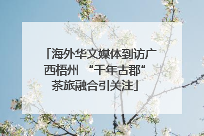 海外华文媒体到访广西梧州 “千年古郡”茶旅融合引关注
