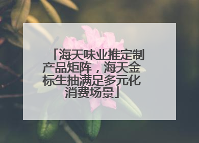 海天味业推定制产品矩阵，海天金标生抽满足多元化消费场景