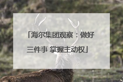 海尔集团观察：做好三件事 掌握主动权