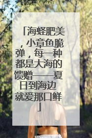 海蛏肥美，小章鱼脆弹，每一种都是大海的馈赠——夏日到海边 就爱那口鲜