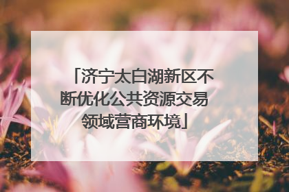 济宁太白湖新区不断优化公共资源交易领域营商环境