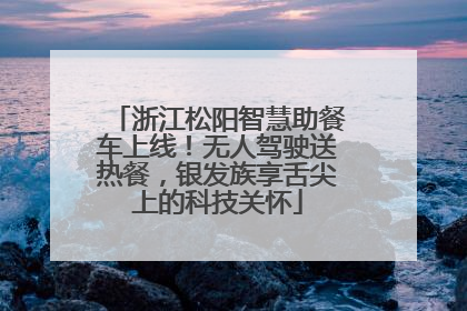 浙江松阳智慧助餐车上线！无人驾驶送热餐，银发族享舌尖上的科技关怀