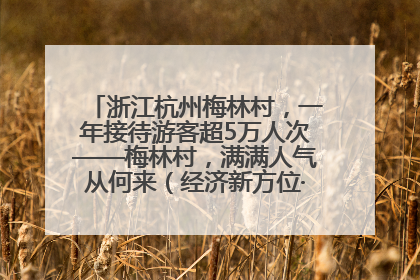 浙江杭州梅林村，一年接待游客超5万人次——梅林村，满满人气从何来（经济新方位·农村消费观察）